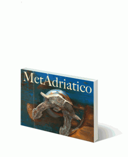 Metàdriatico